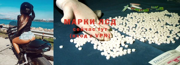 эйфоретик Магадан