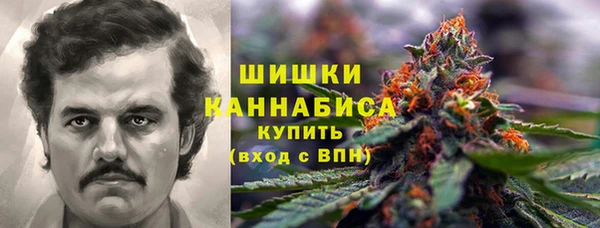 стаф Нефтегорск